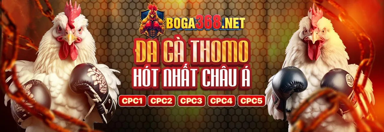 Cách sử dụng mã vi88 để nhận ưu đãi độc quyền
